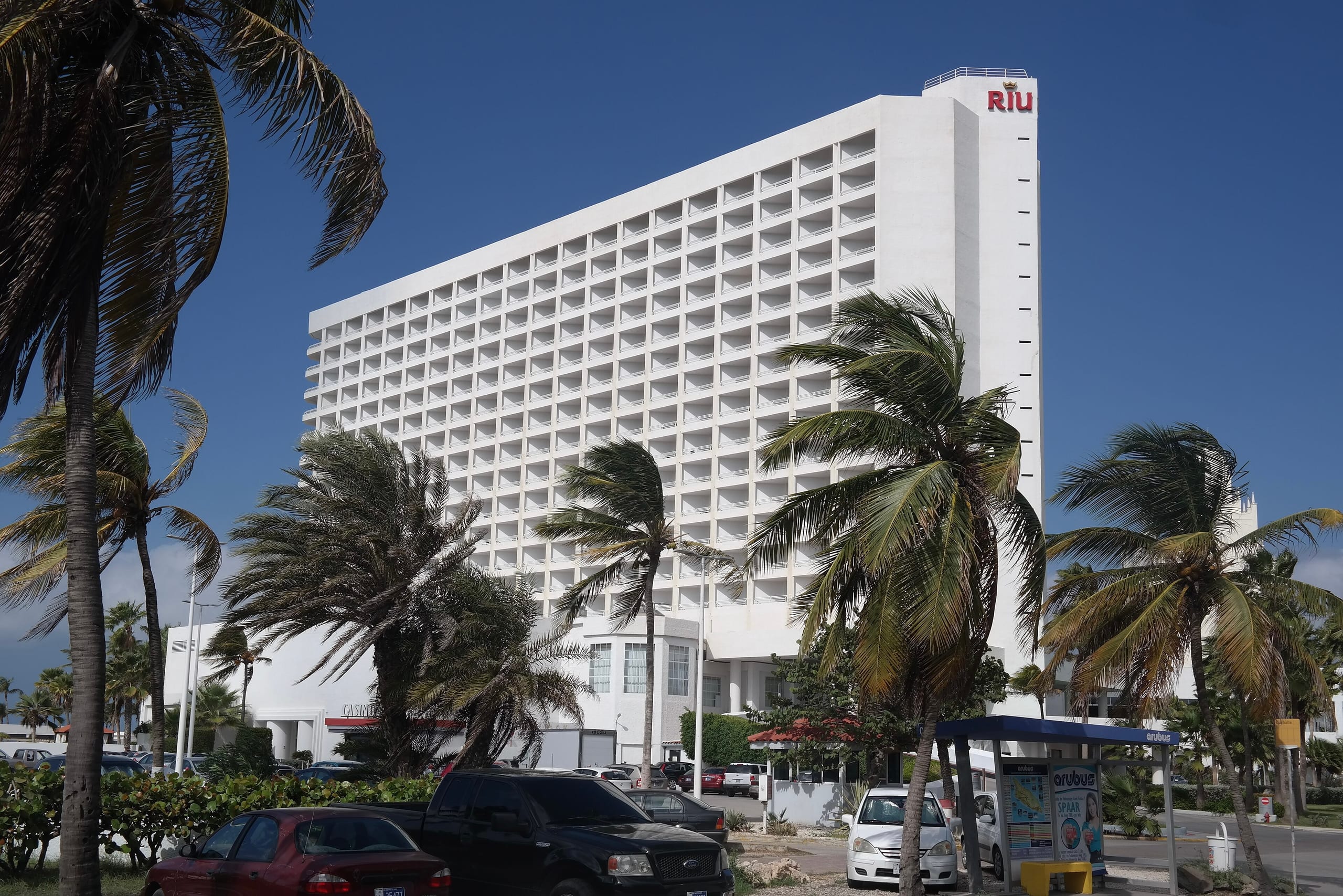A Riu hotel tower on Palm Beach, Aruba, behind wind-bent palms, with a blue Arubus bus shelter at the roadside