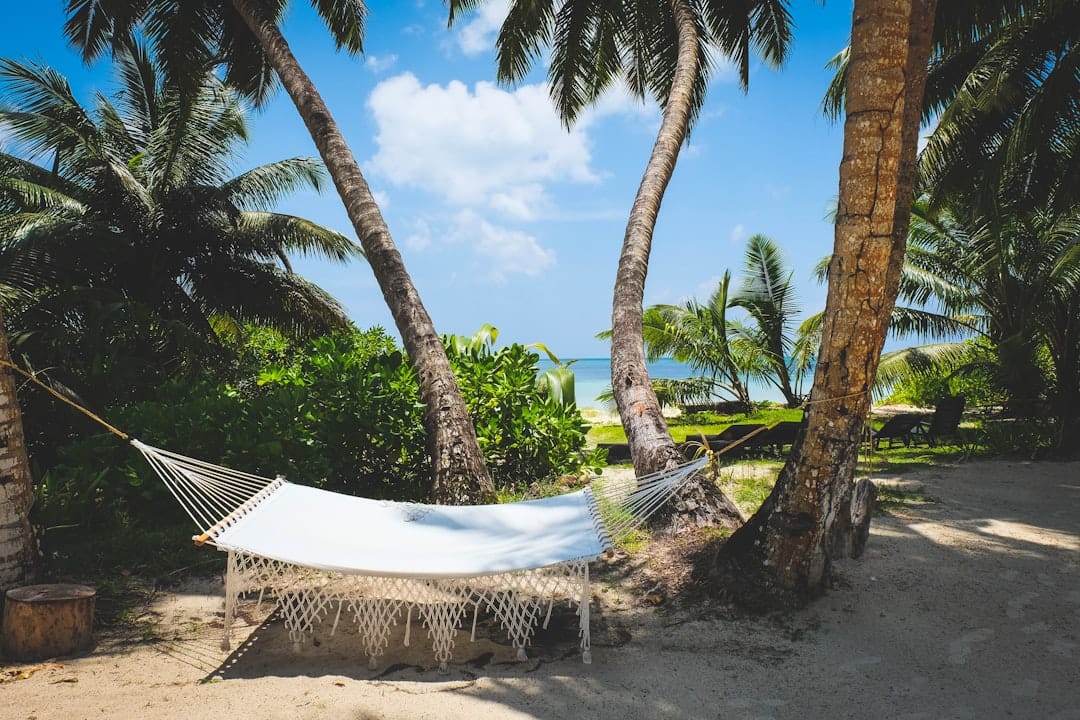 A hammock strung between two palms at the edge of a quiet beach on Praslin in the Seychelles
