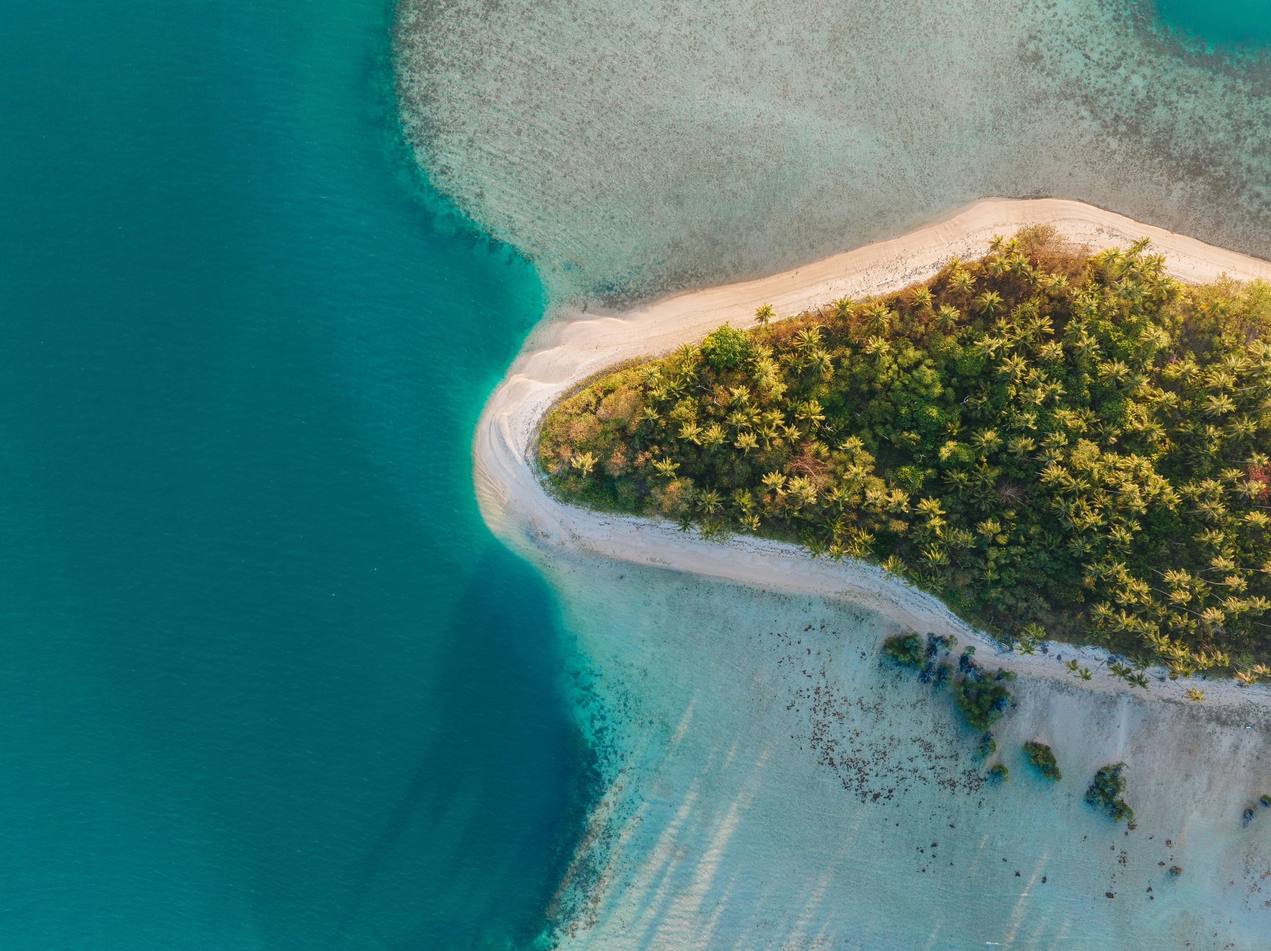 A small forested island off San Vicente in Palawan rimmed with white sand seen from above, turquoise shallows fading to deep blue