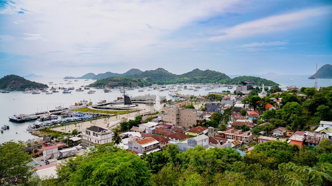 A harbor town seen from the hill above it, red and white roofs running down to a bay crowded with moored boats