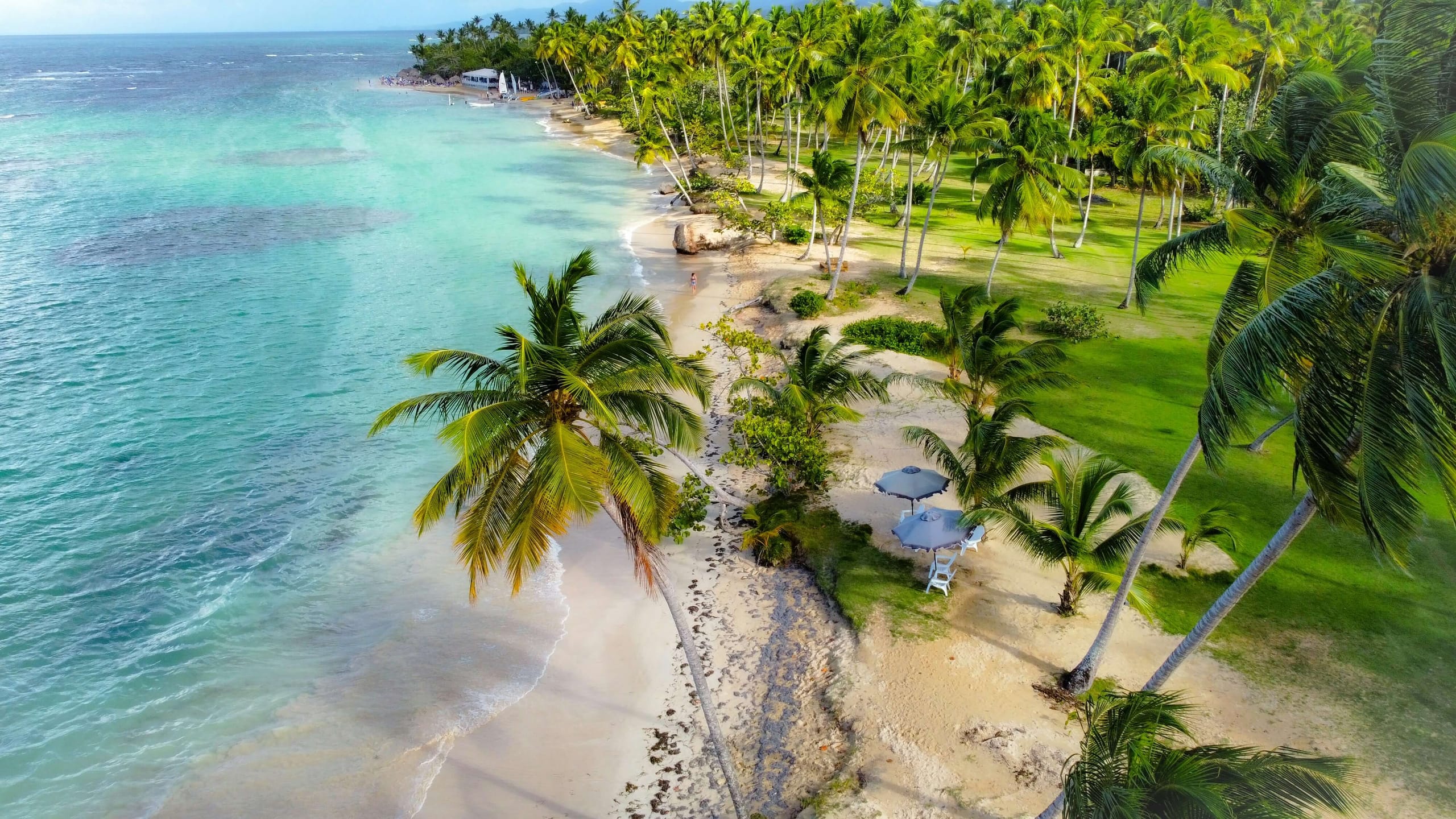 Aerial view of a palm-lined beach, turquoise shallows meeting white sand, a single figure walking the waterline and two blue umbrellas set back under the trees