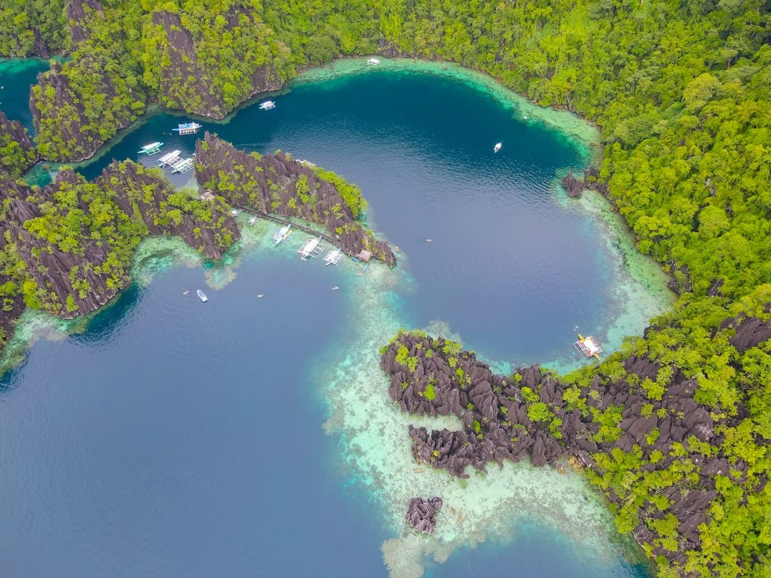 A green island lagoon at Coron in Palawan seen from above, shallow turquoise water threading between forested rock