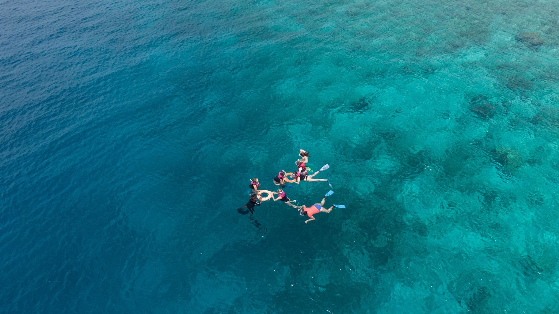 A group of snorkelers clustered together at the edge of a reef in turquoise water off Dhonfanu, seen from above