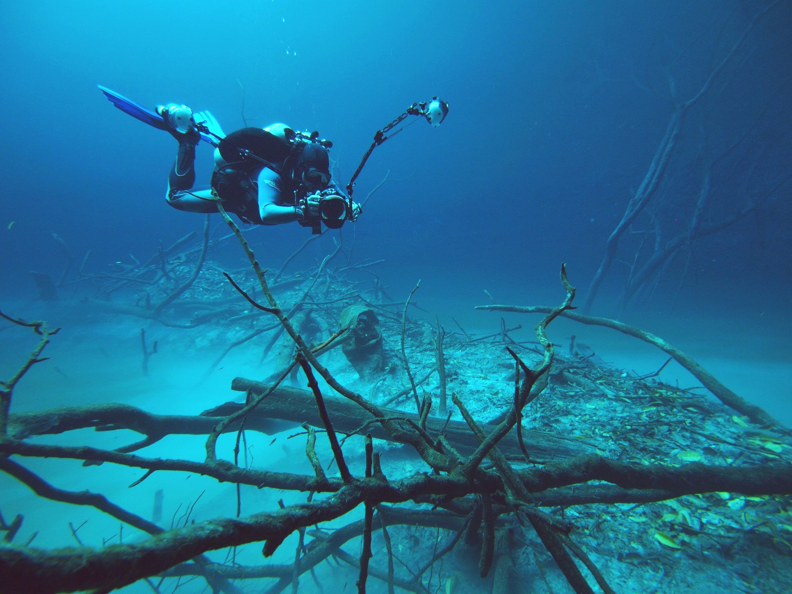 A diver with a camera swimming over drowned tree branches in Cenote Angelita