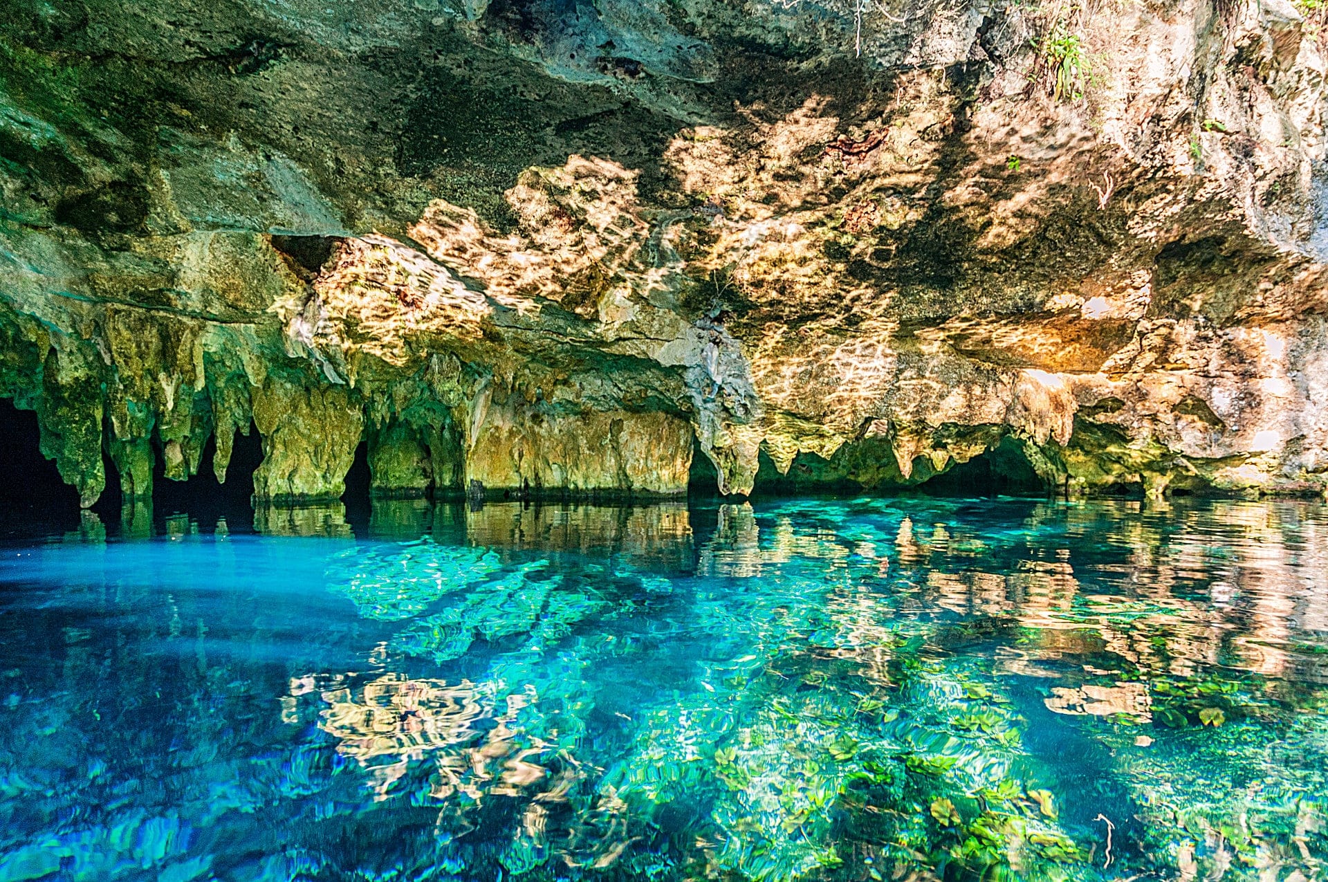 Stalactites hanging over the clear blue water and weed beds of Gran Cenote, Tulum