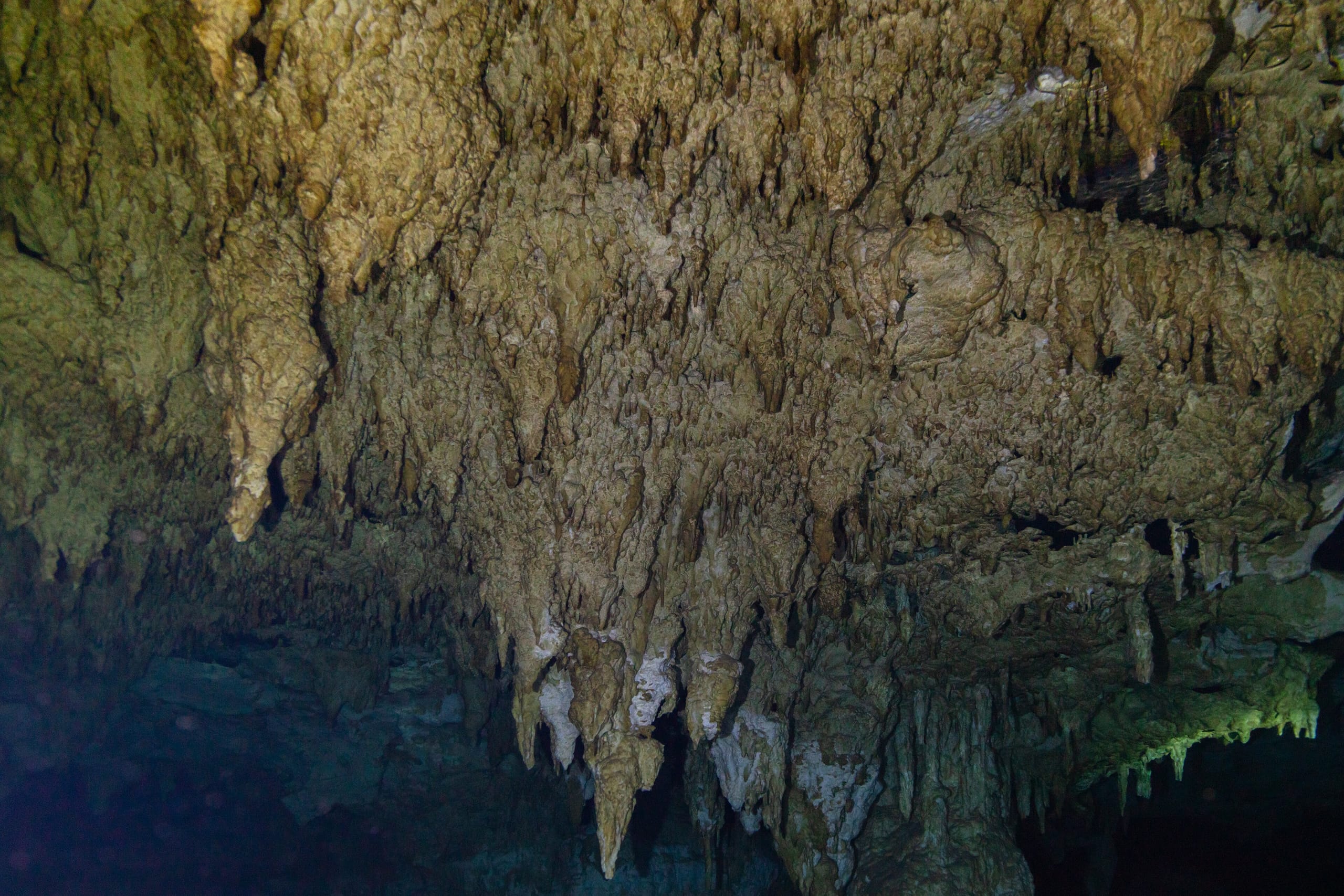 Stalactites hanging below the water line in the flooded cavern at Dos Ojos
