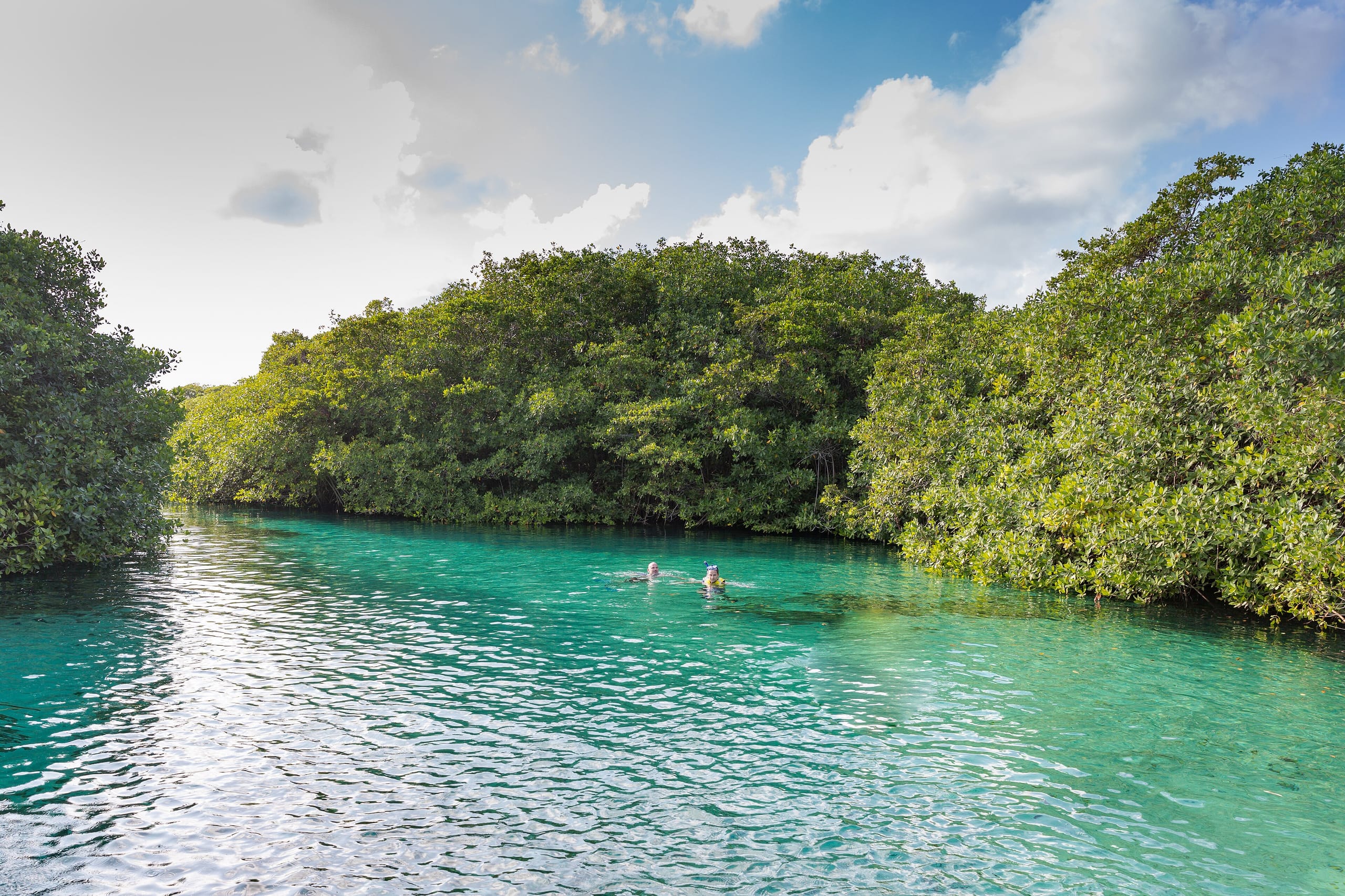 Two snorkelers in the turquoise channel at Casa Cenote, mangroves on both banks