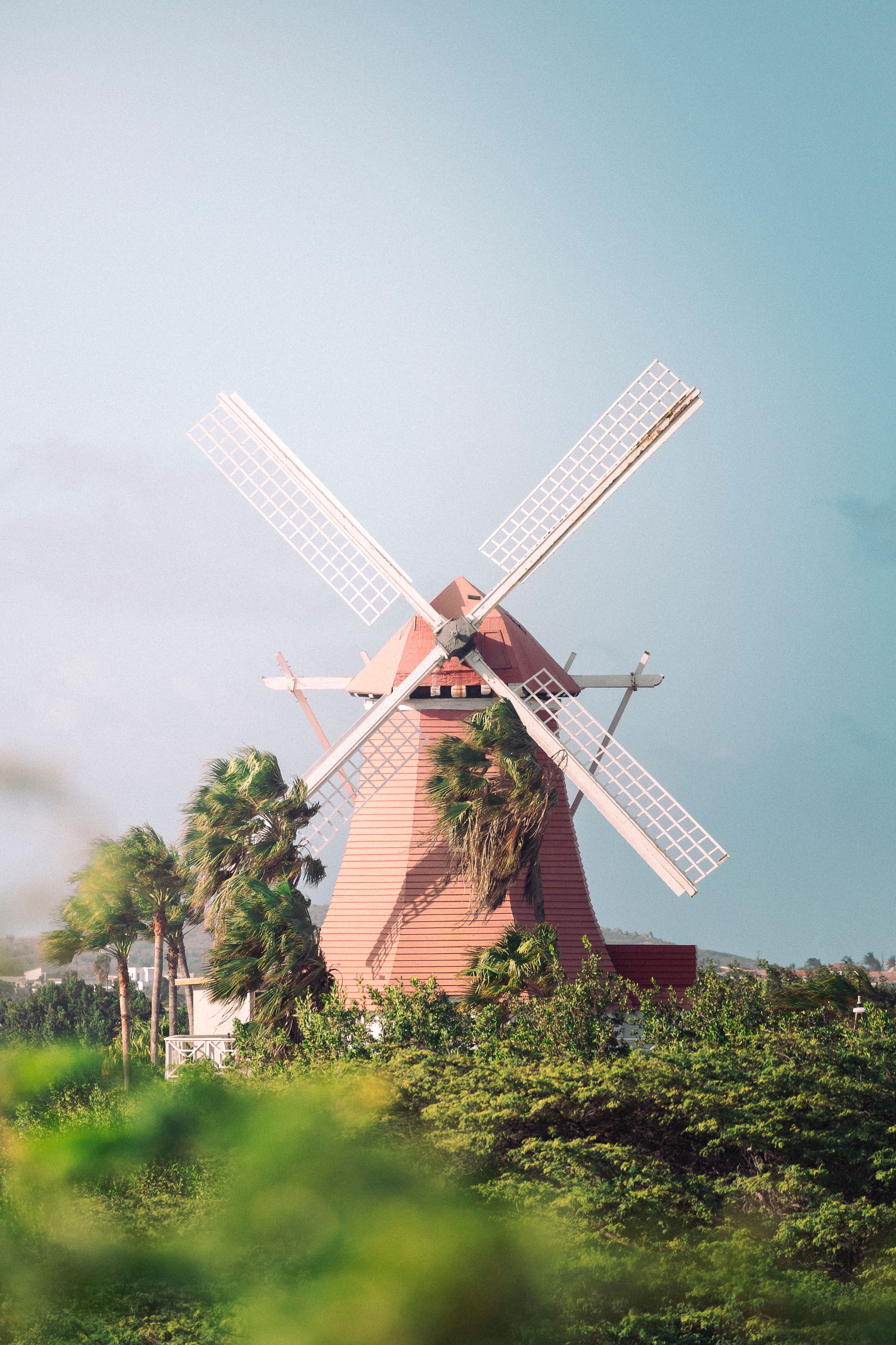 De Olde Molen, the red Dutch windmill near Palm Beach, above green scrub and palms