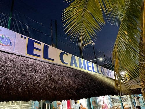 El Camello Jr